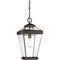 Quoizel Ravine Outdoor Hanging Lantern RAV1910WT - alternate 1
